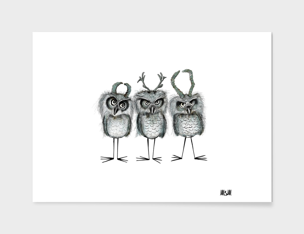 Owls with Horns