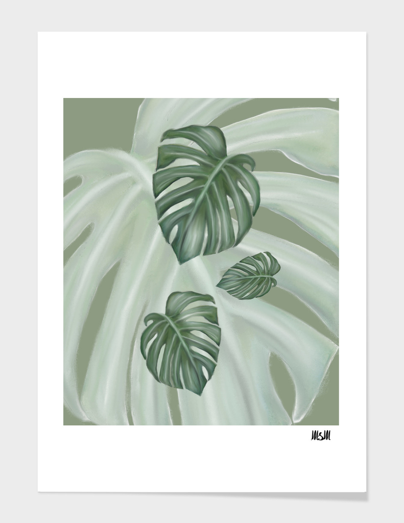 Monstera the four