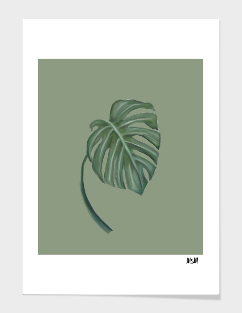 monstera the one