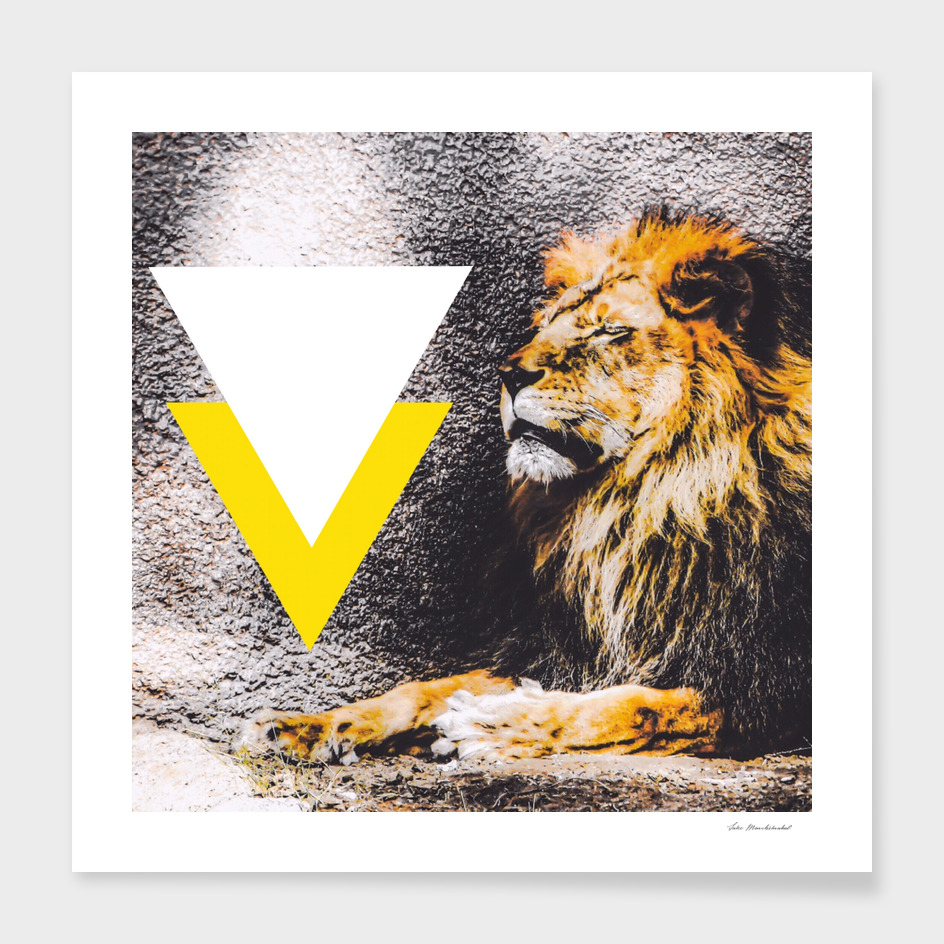 lion with white and yellow triangle