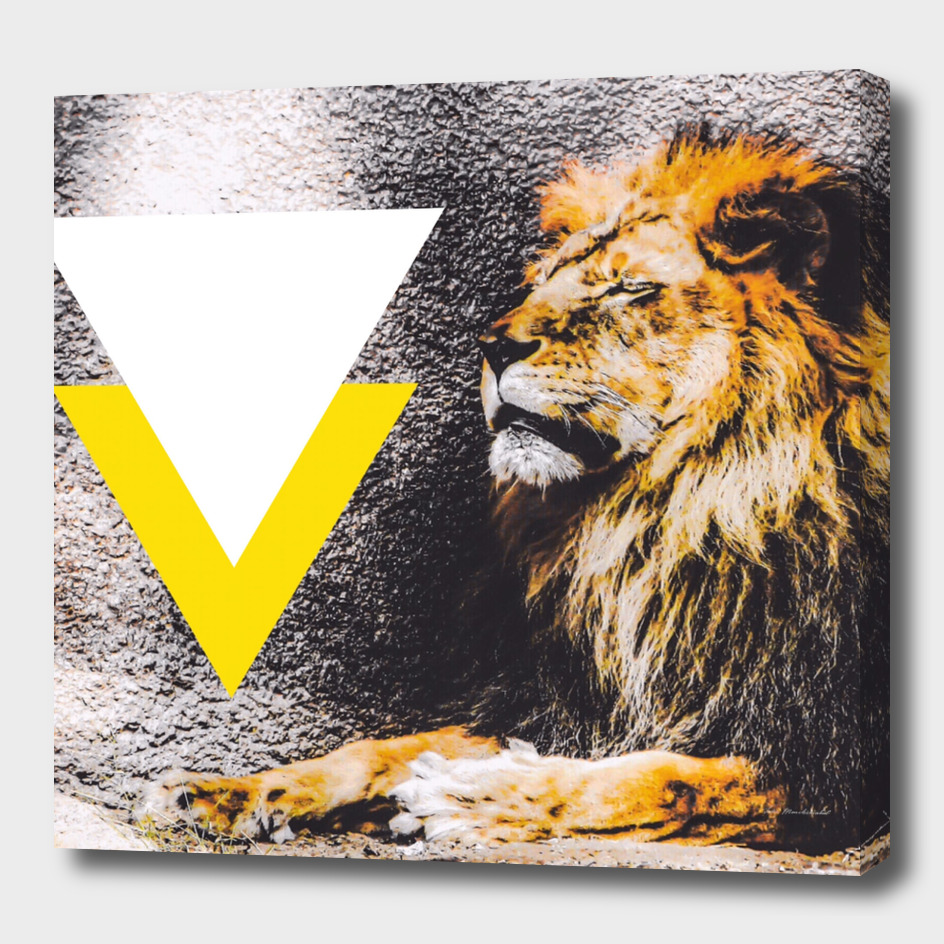 lion with white and yellow triangle