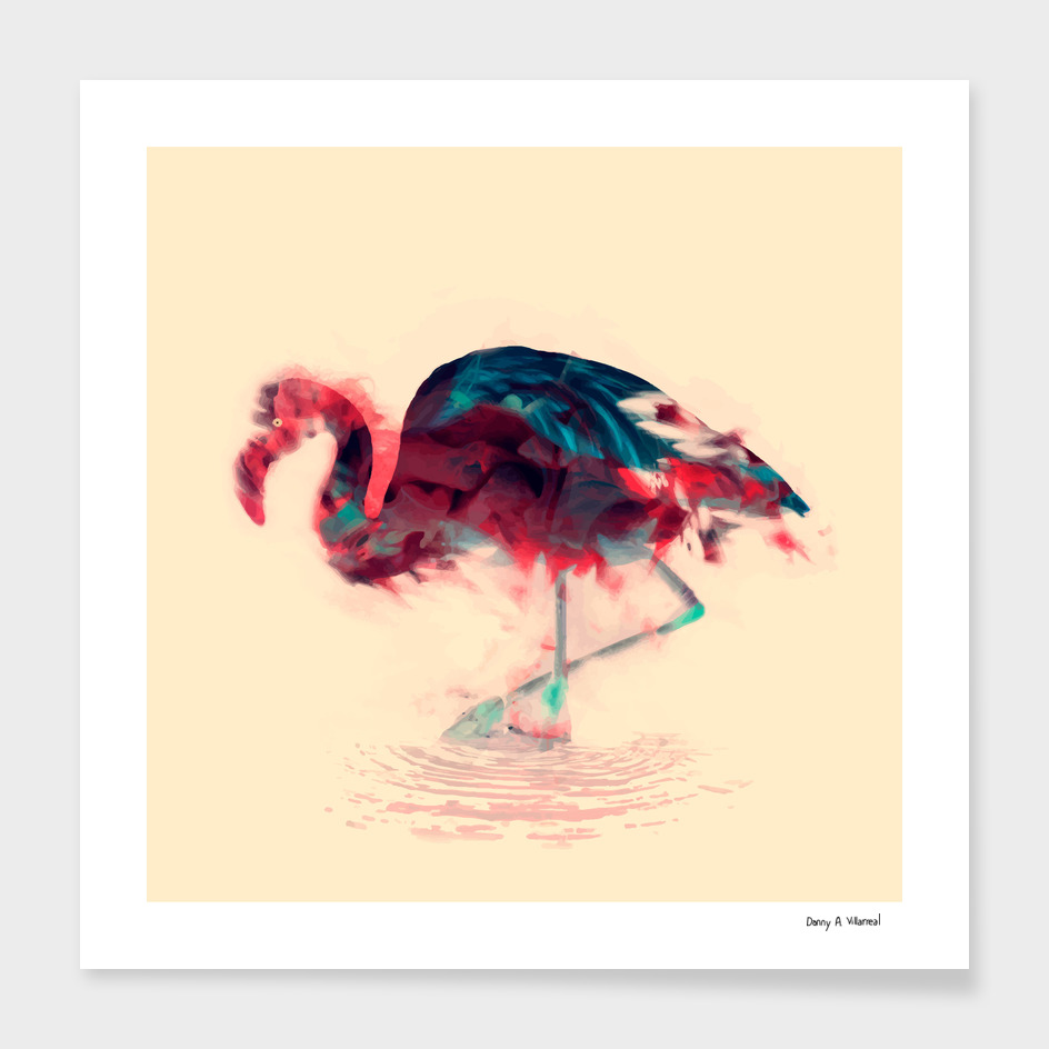 Born Flamingo