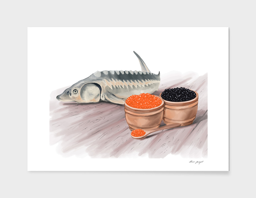 sturgeon fish and caviar hand painting
