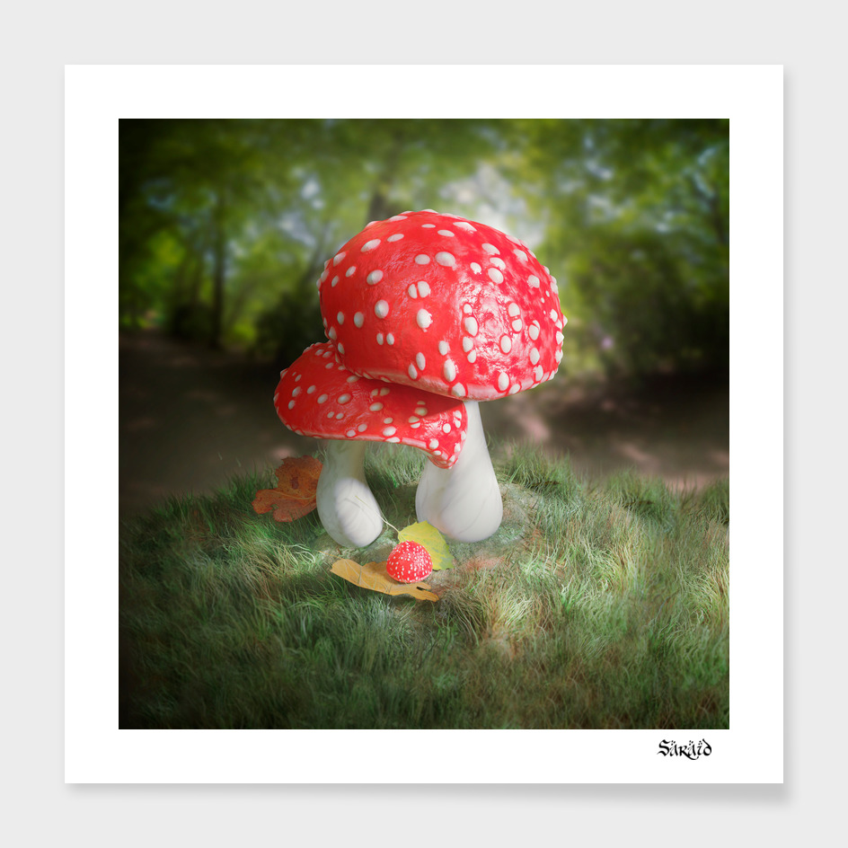 Fairy Mushroom Baby