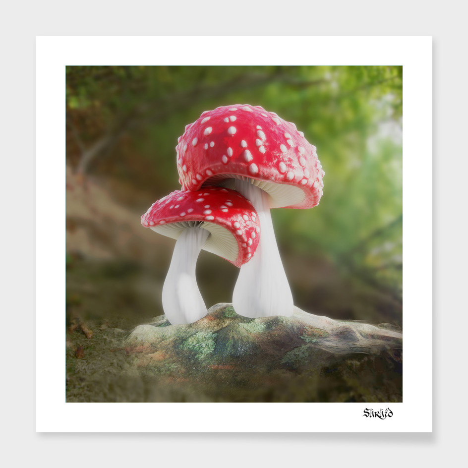 Fairy Mushroom Love