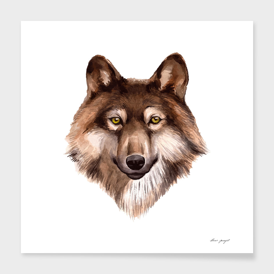 Watercolor wolf