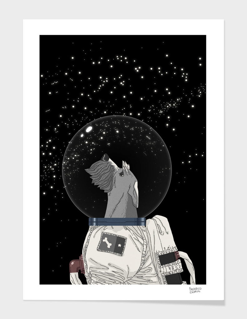 Cão Astronauta
