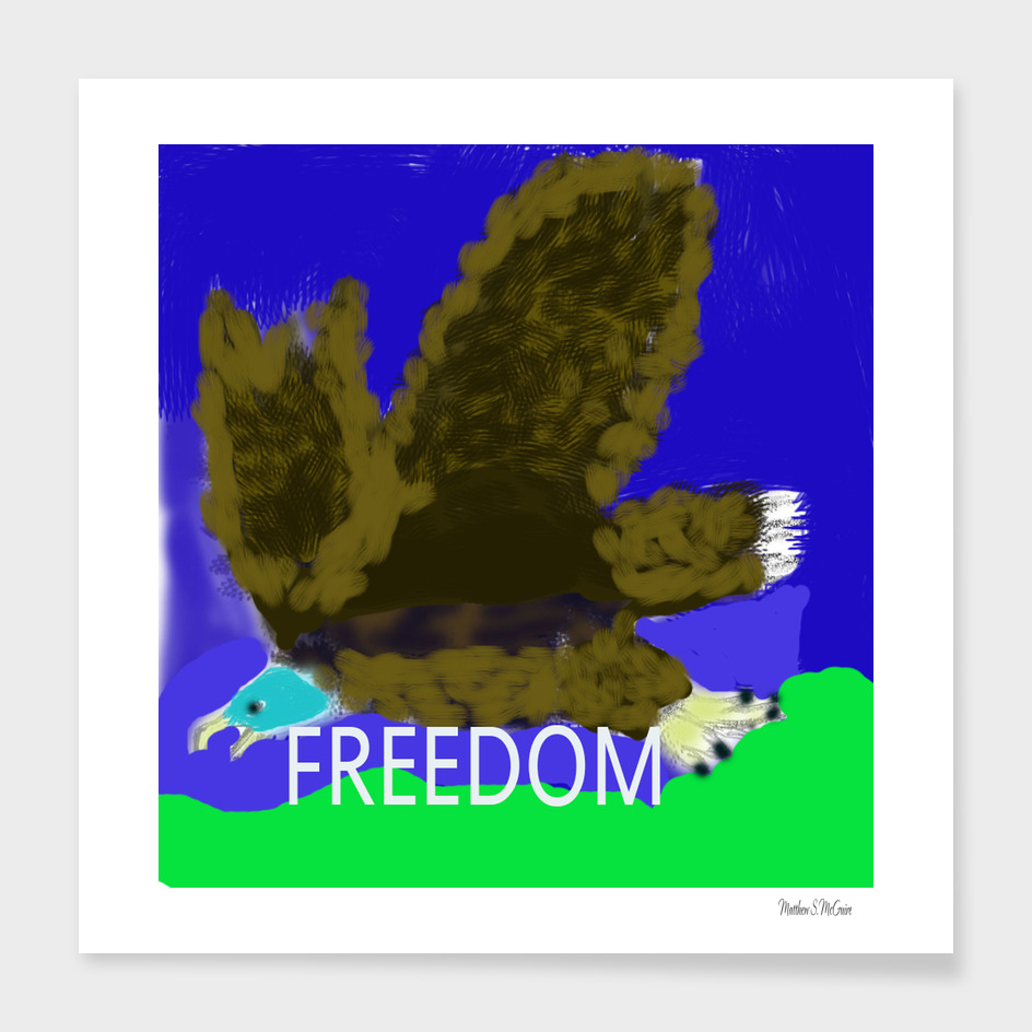 eagle-Freedom