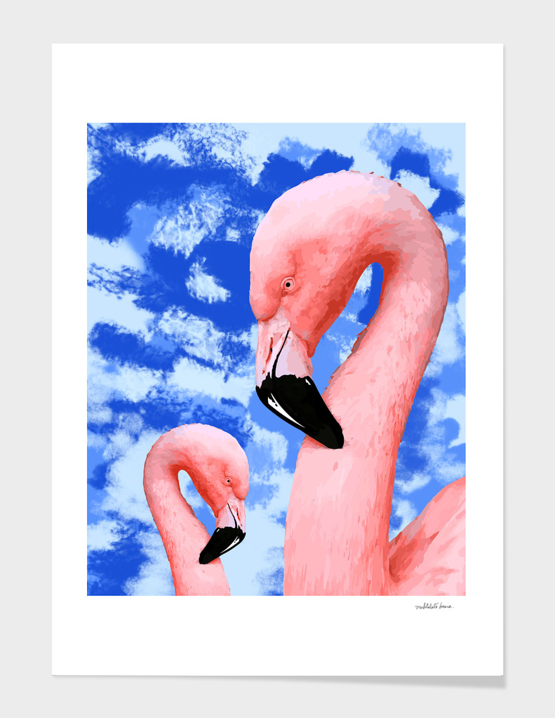 Flamingo Series 4
