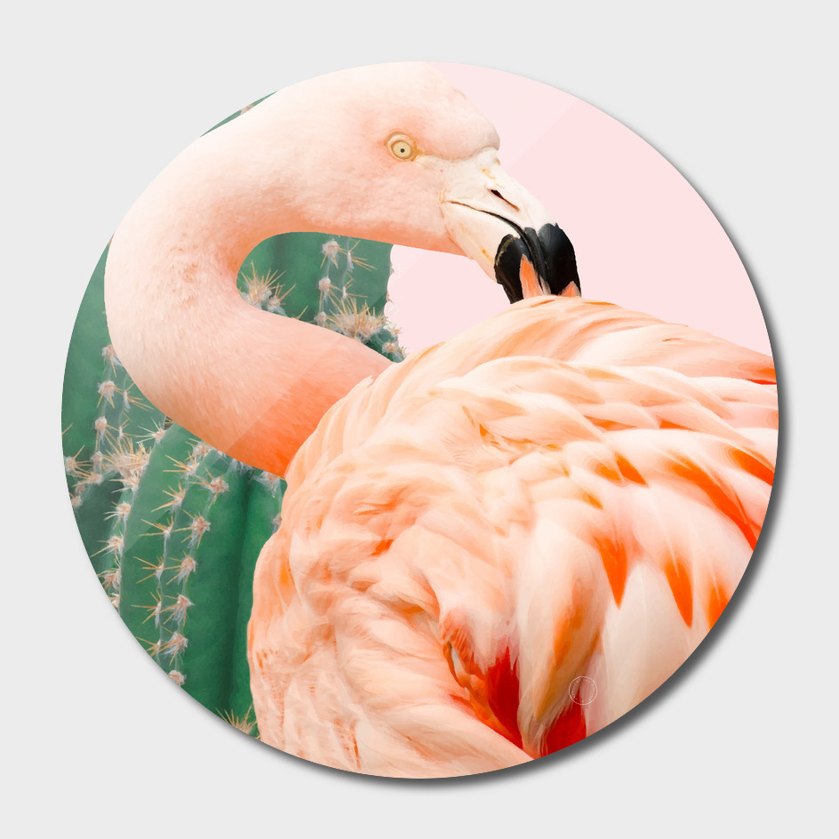 Flamingo & Cactus