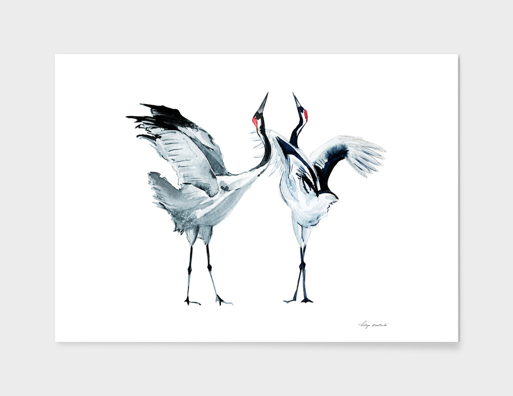 Cranes watercolor