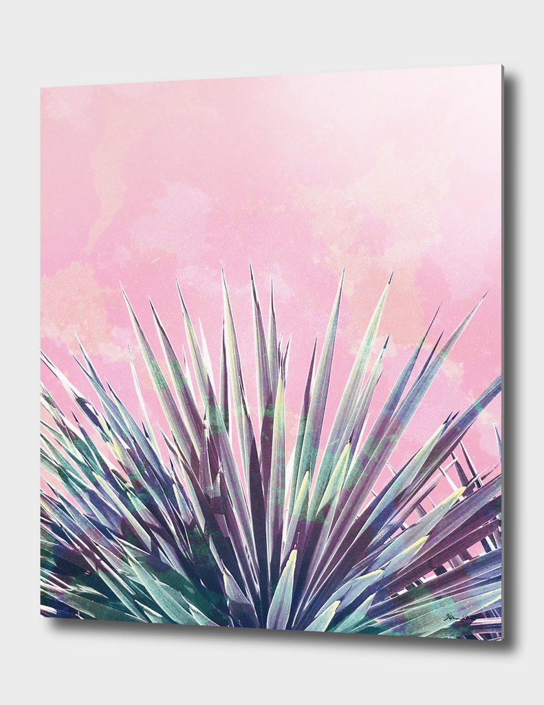 Vintage Yucca Palm - Pink