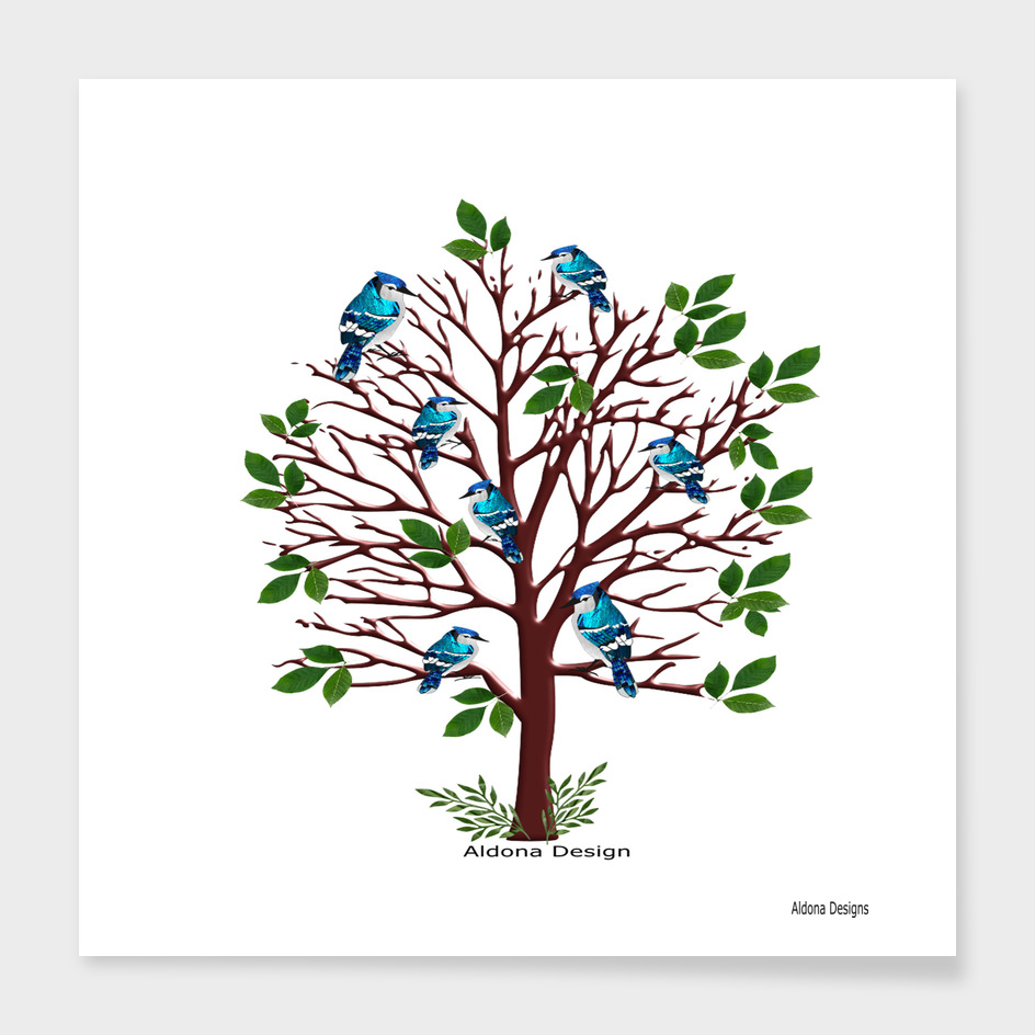 blue jays on a tree