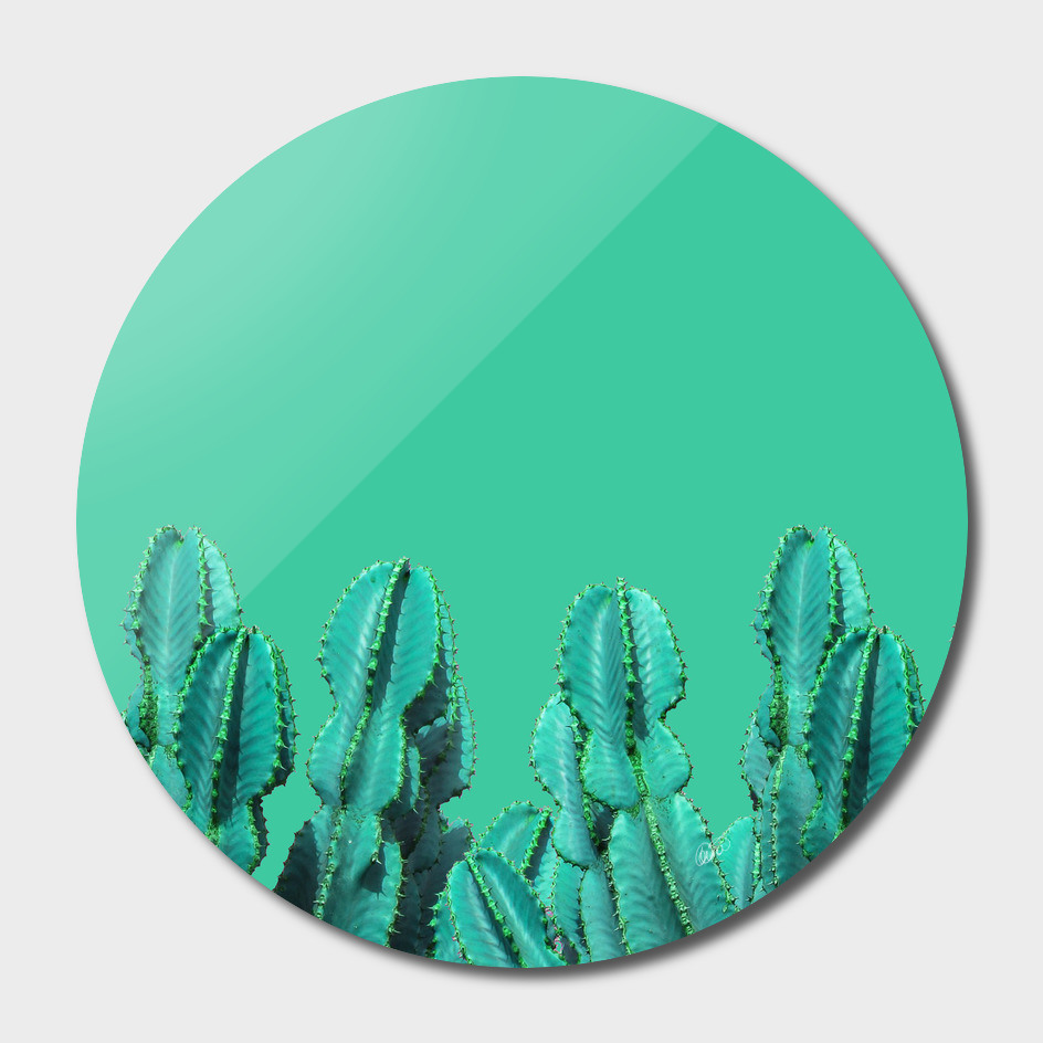 Turquoise Cactus