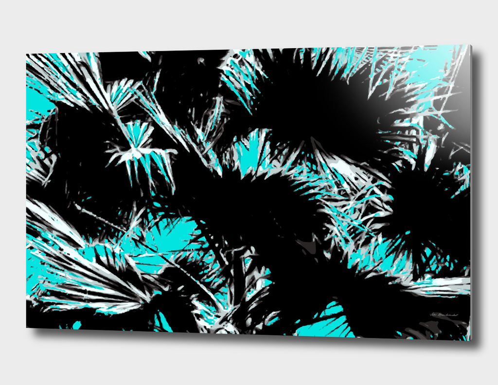 palm leaf abstract with blue background