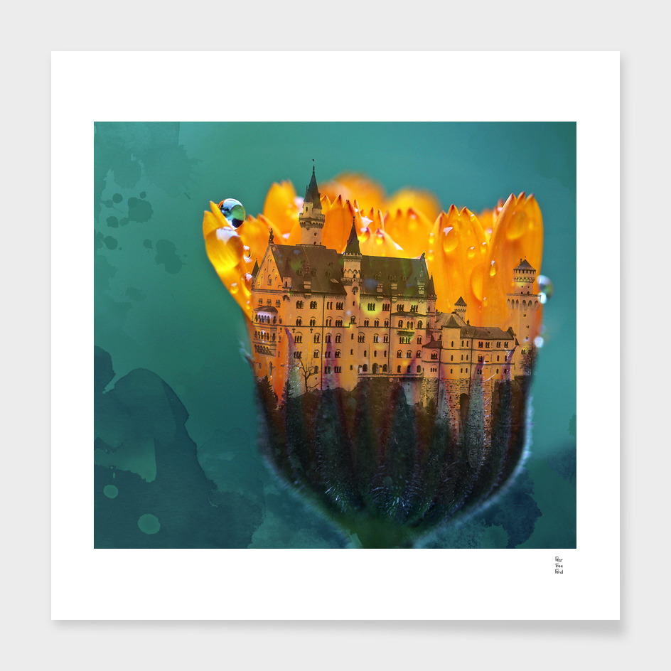 Flower Castle