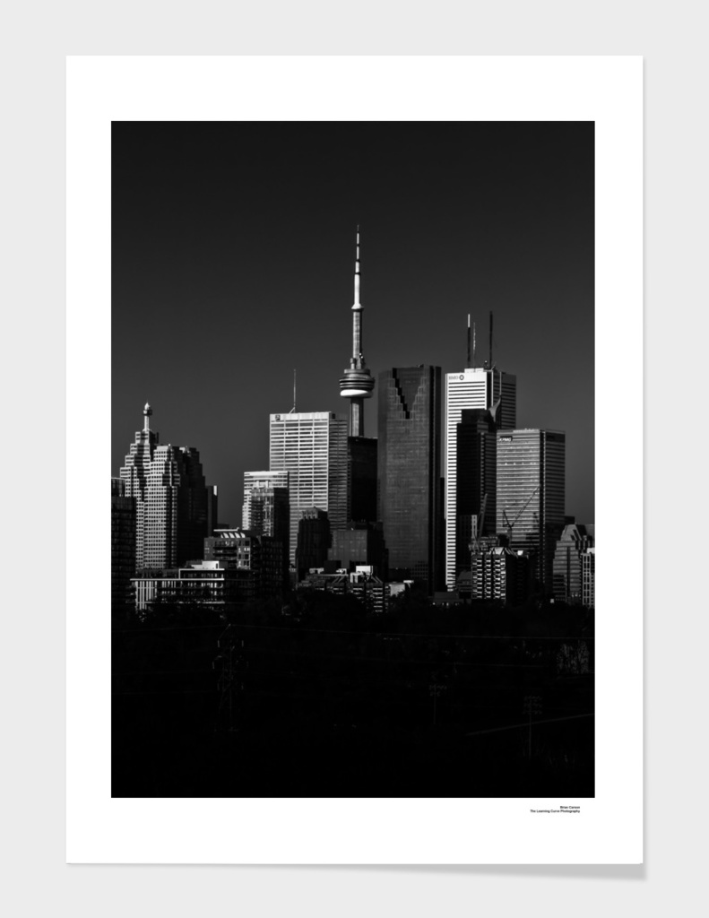 Toronto Skyline From Riverdale Park No 1
