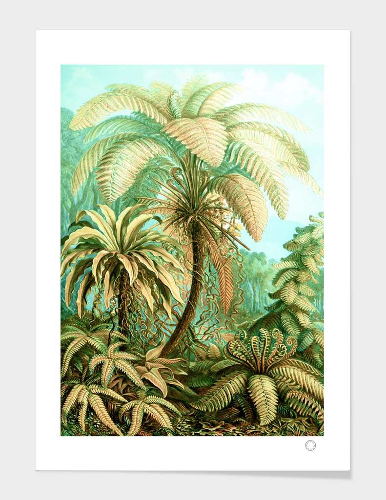 Vintage Tropical | Jungle Botanical Nature Banana Tree