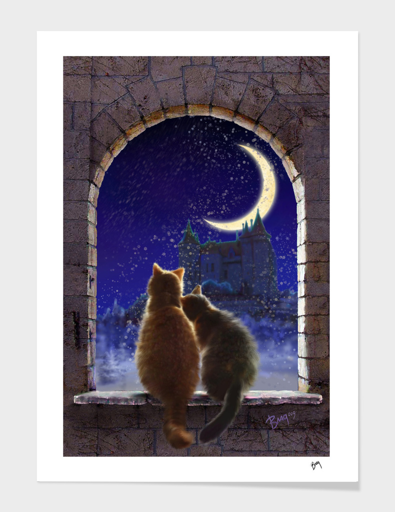 Cats and moon