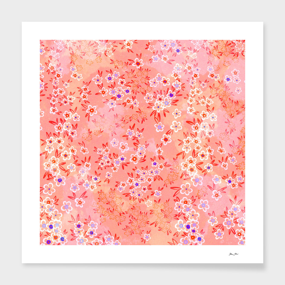 Forget me, forget me not - peach and coral