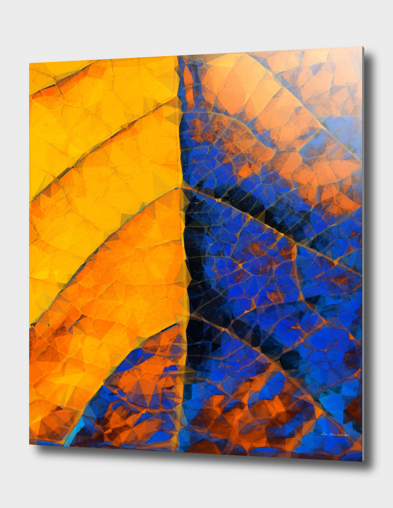 closeup leaf texture geometric abstract in blue yellow
