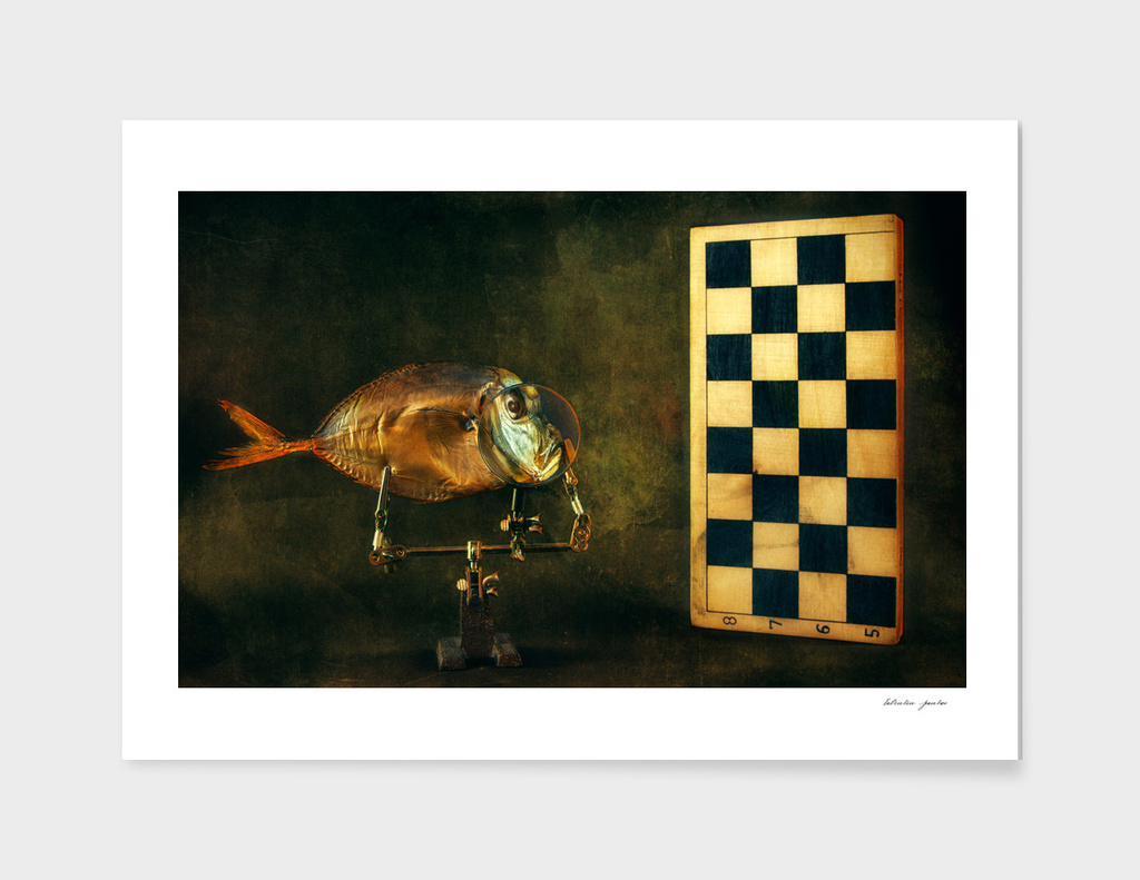 Fish and chess