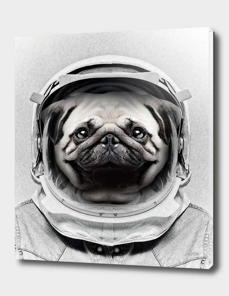 Puggly Pawstrong Astro Dog