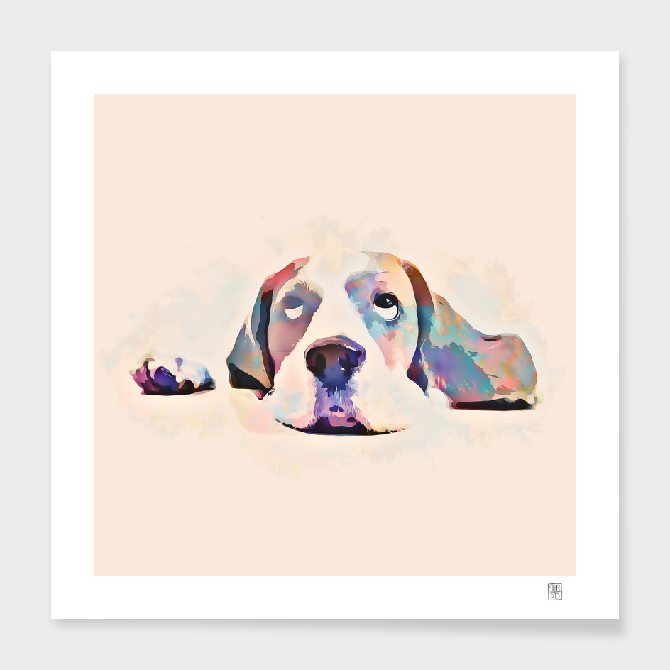 What a dog life - painting in watercolor