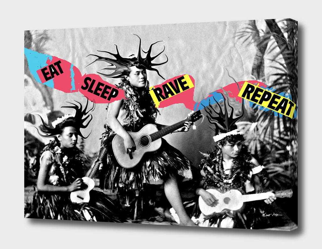 eat sleep rave repeat hula