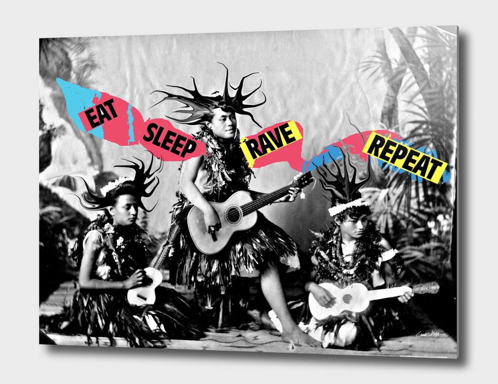 eat sleep rave repeat hula