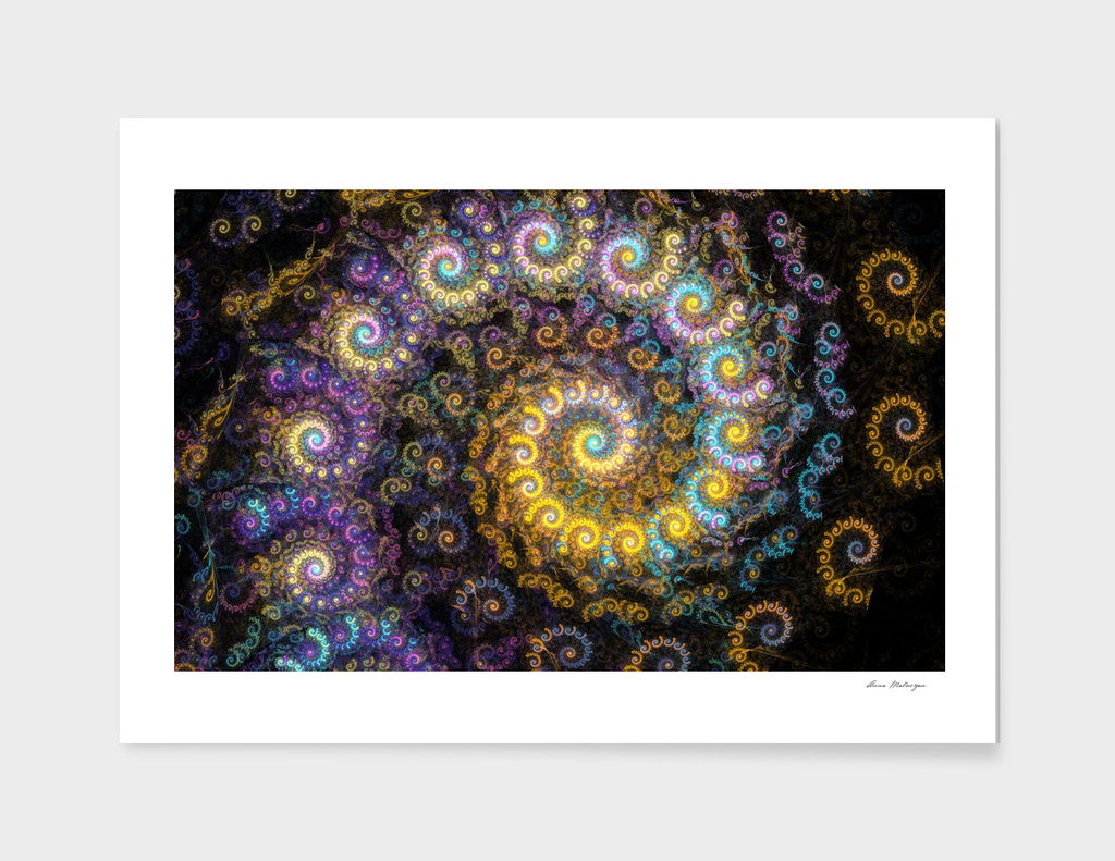 Nautilus fractal beauty