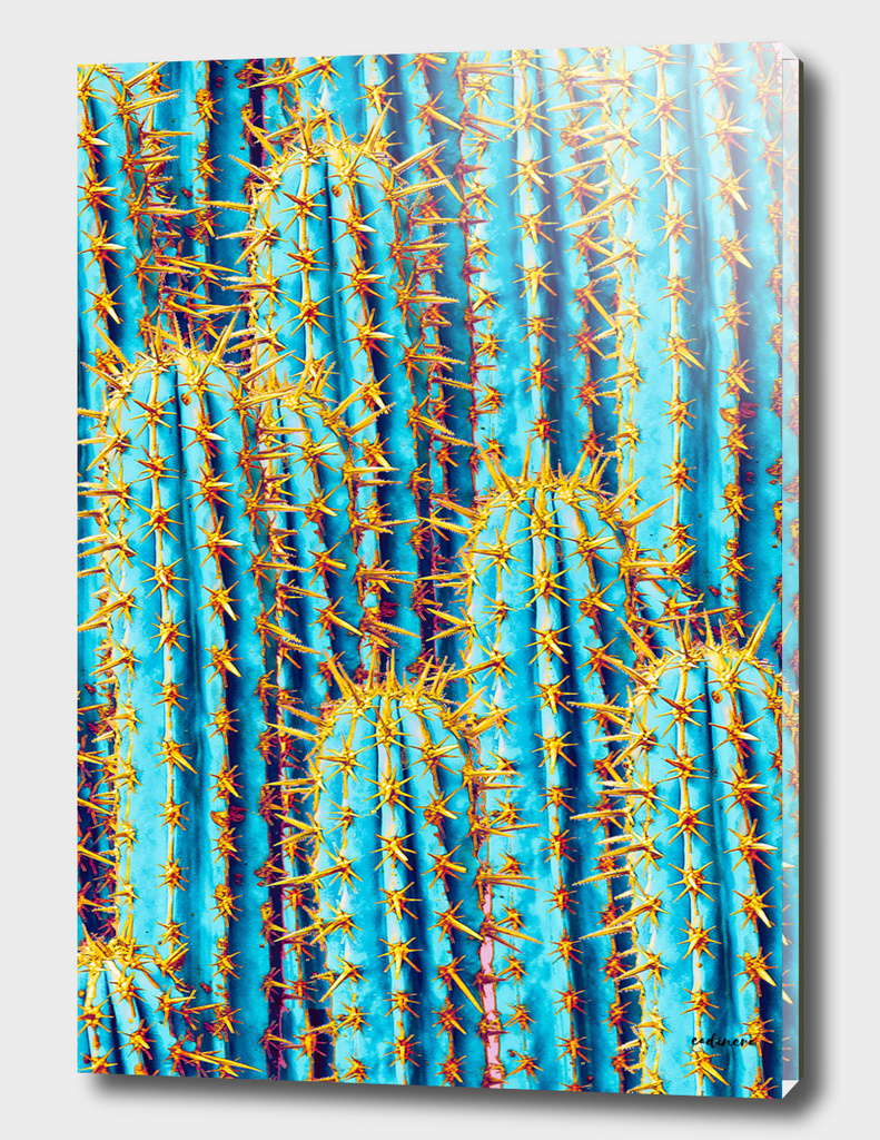 Neon + Gold Cactus