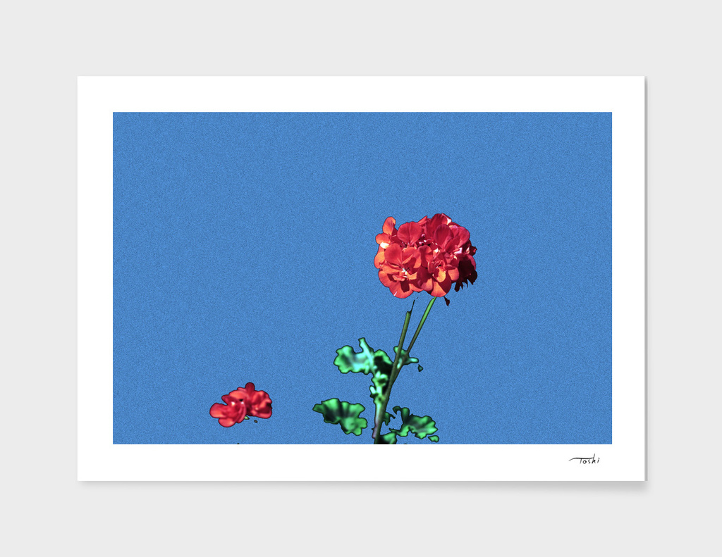 Flower-03