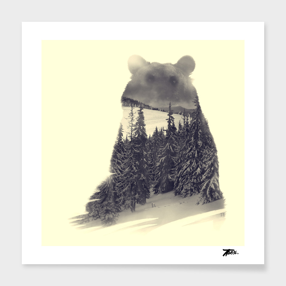 Bear exposition #01