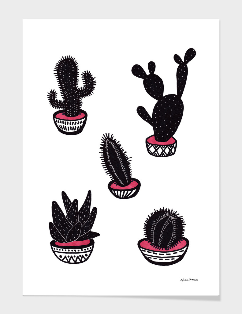 cactus collective