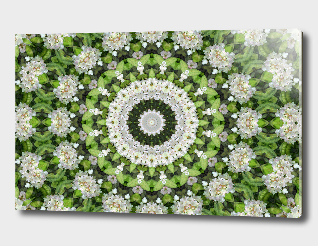 Green and White Rhododendron Mandala