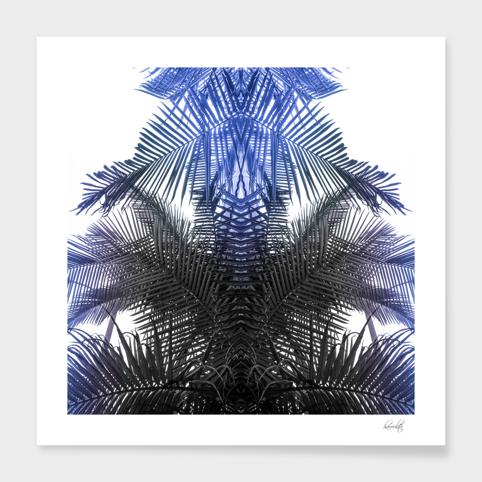 jungle fern blue