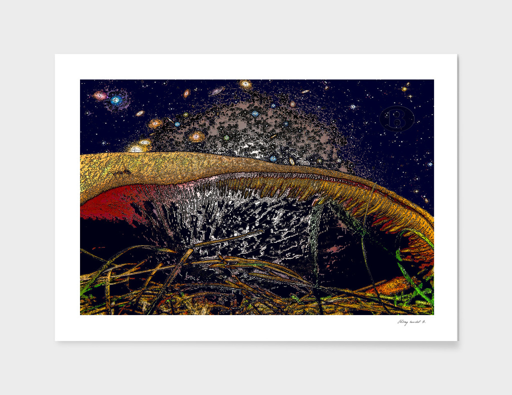 Mushroom ant and Big Bang by Banstolac