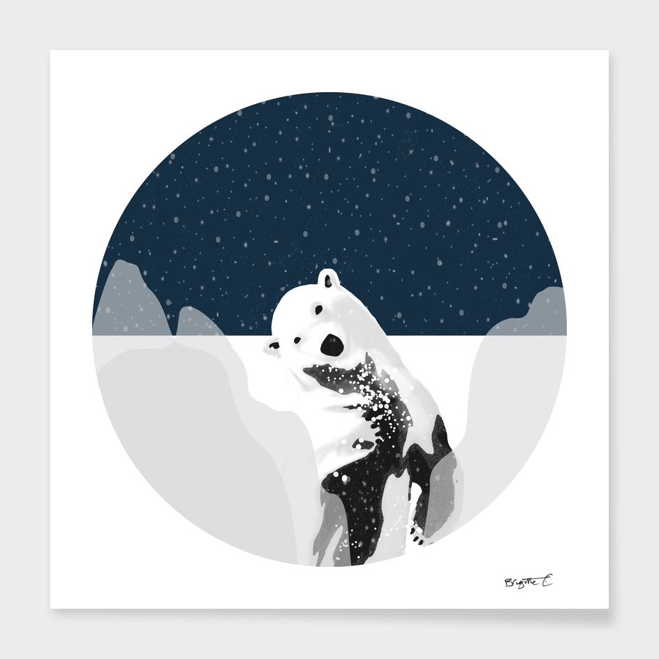 Unique Polar Bear Scene