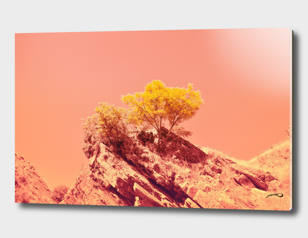 Tree on Mars? by #Bizzartino