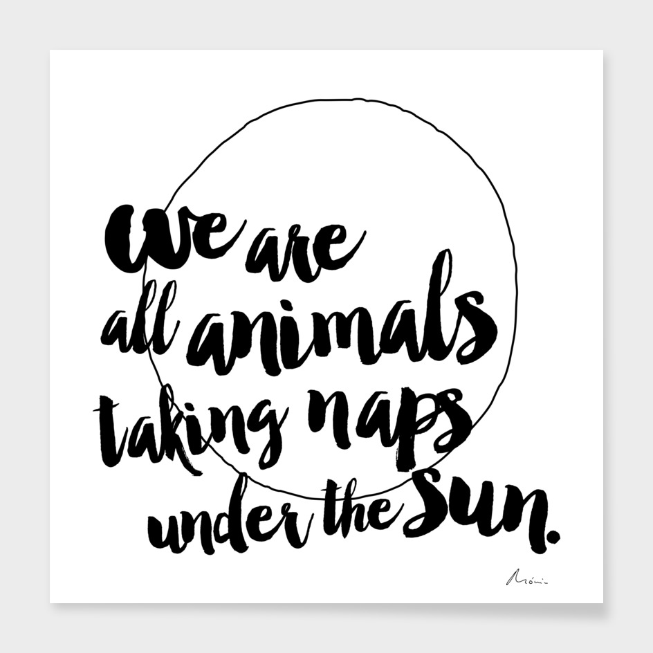 We are all animals taking naps under the sun