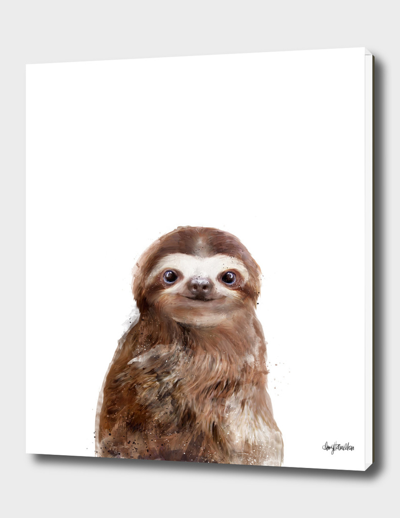 Little Sloth