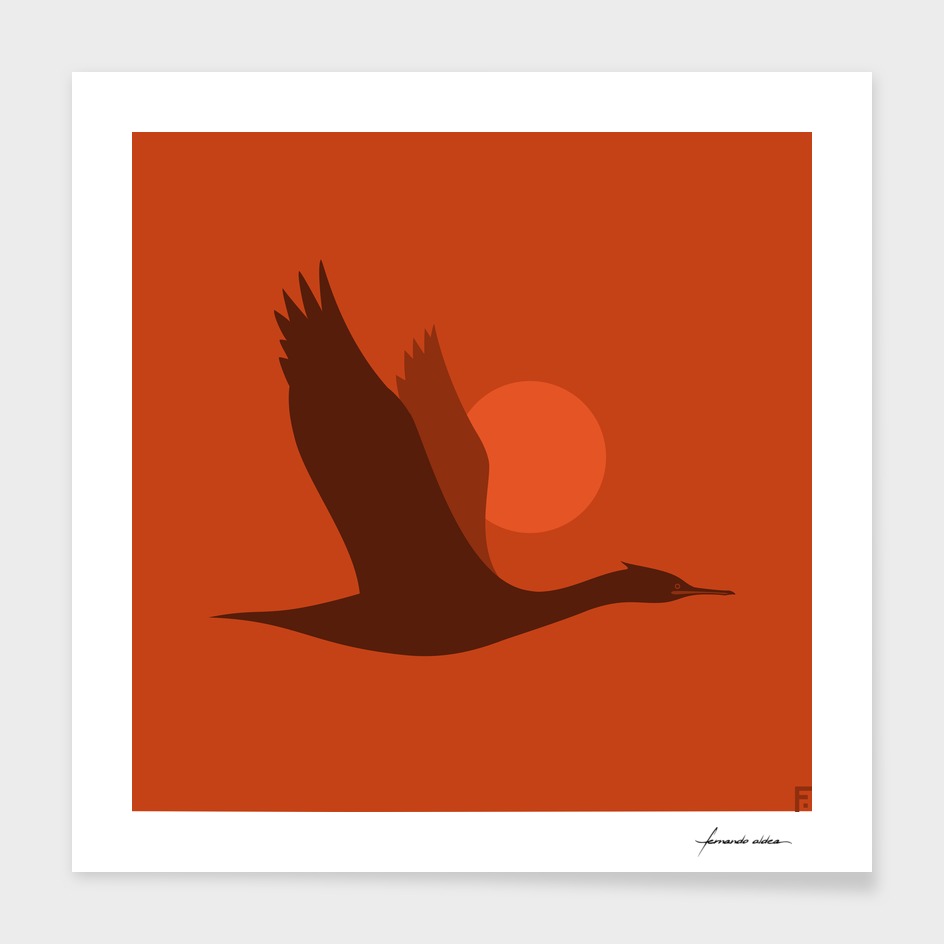Yeco | Neotropic cormorant
