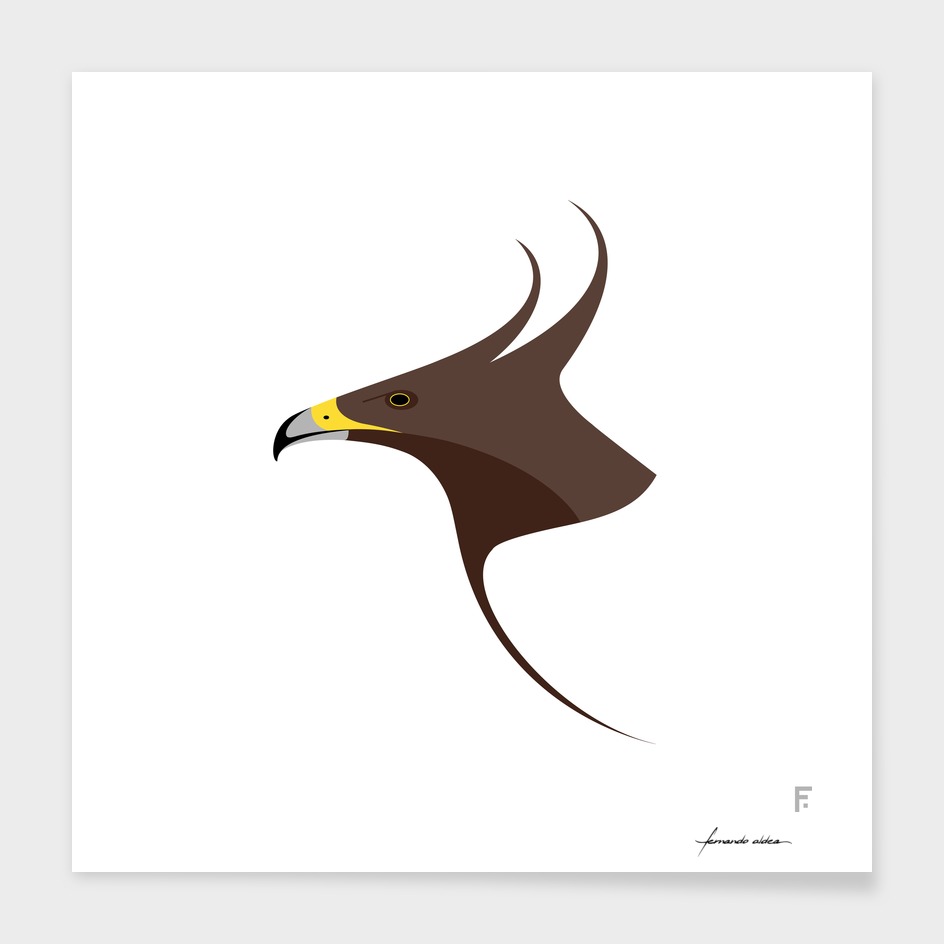 Águila crestilarga / Long-crested eagle