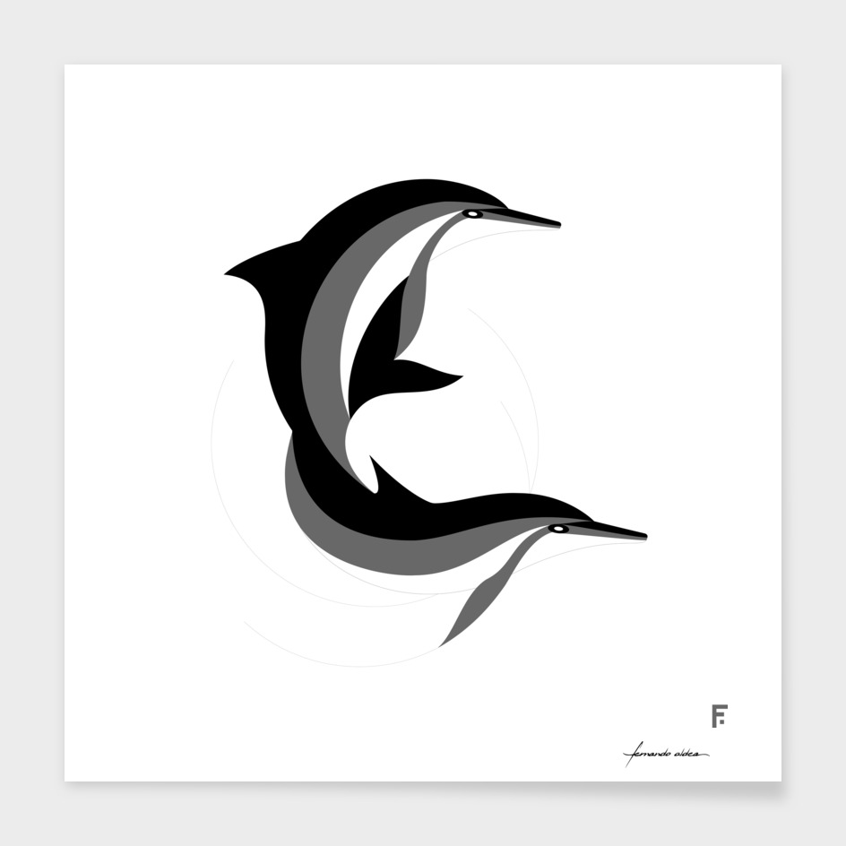 Delfín de hocico largo / Spinner dolphin