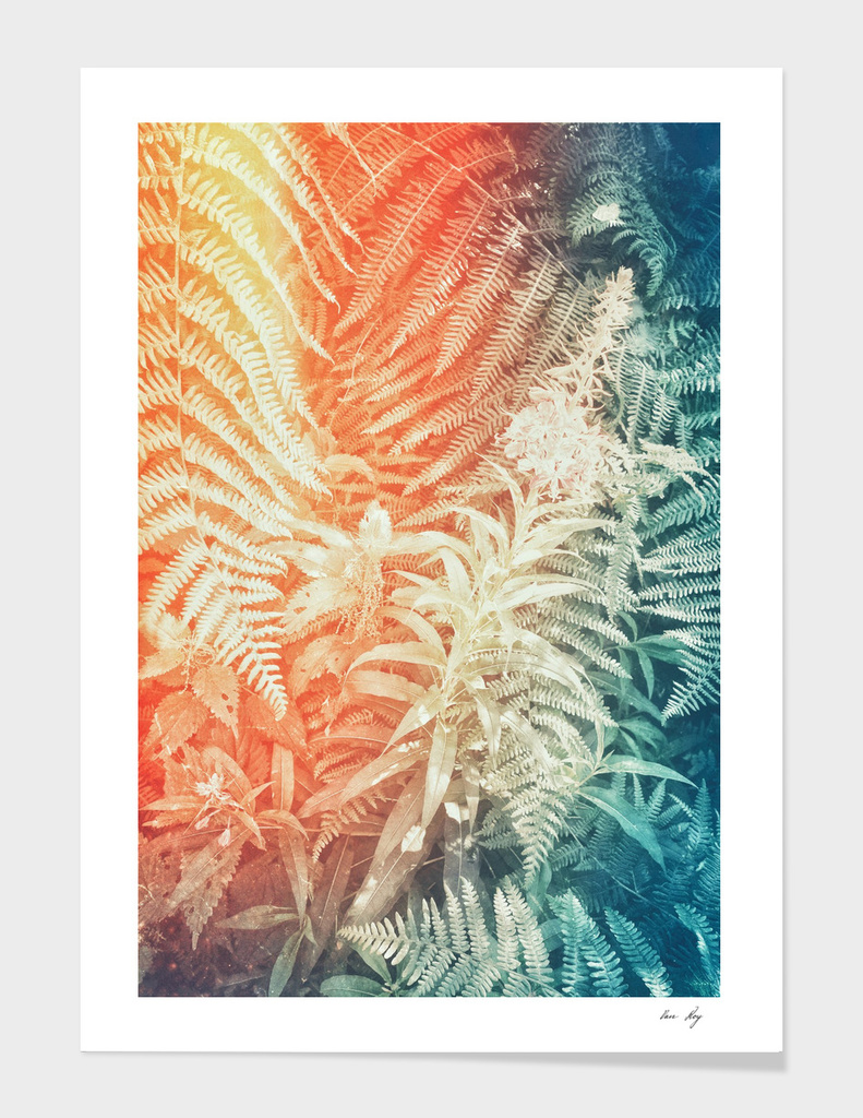 Fern and Fireweed 02 - Retro