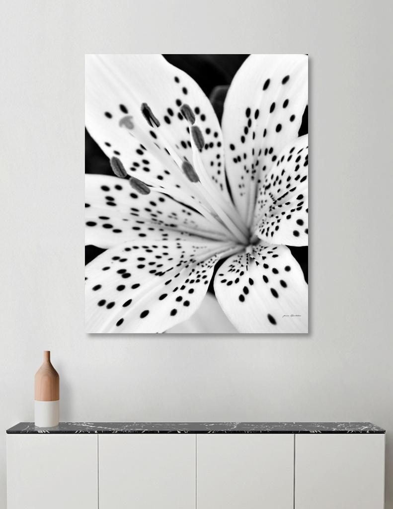 Lily Close-up In Black And White Canvas Print