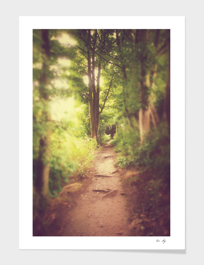 The Path Home