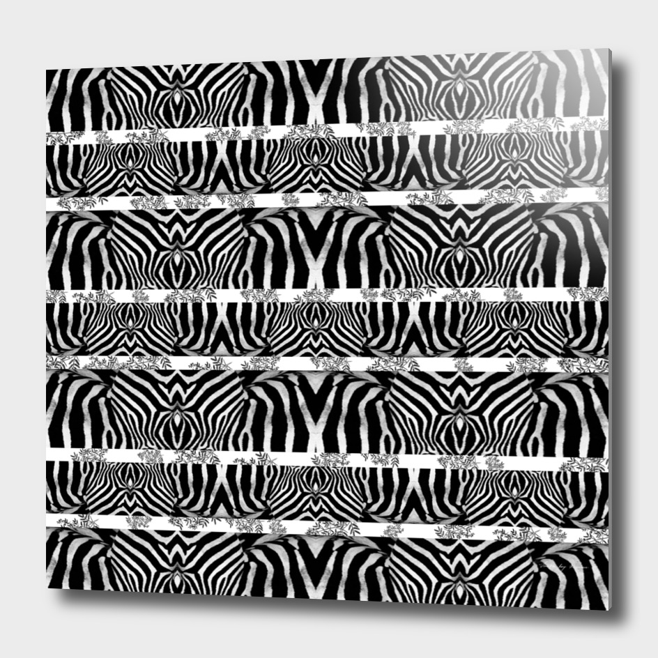 Zebra Stripe Pattern