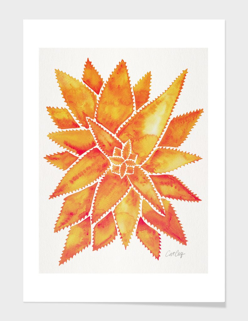 Orange-AloeVera-artprint